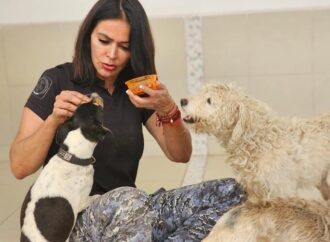 Doble moral detrás de la bandera animalista de Lety Varela