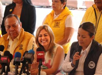 Acusaciones de Confusión y Difamación: Por Uso de Colores de Morena y Campañas de Desprestigio por parte de Lucia Meza