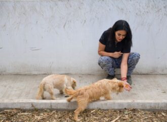 Leticia Varela: Activismo Animalista Como Escalón Político