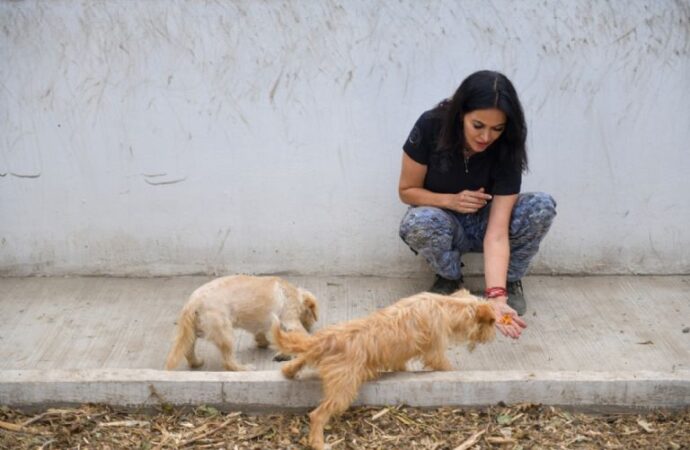 Leticia Varela: Activismo Animalista Como Escalón Político