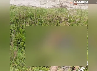 Abandonan tres cadáveres torturados en límites de Puebla y Tlaxcala