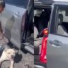 Horror: Mujer arrastra a perrito con su camioneta en Puebla