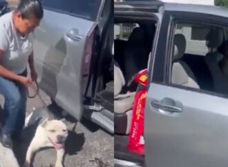 Horror: Mujer arrastra a perrito con su camioneta en Puebla