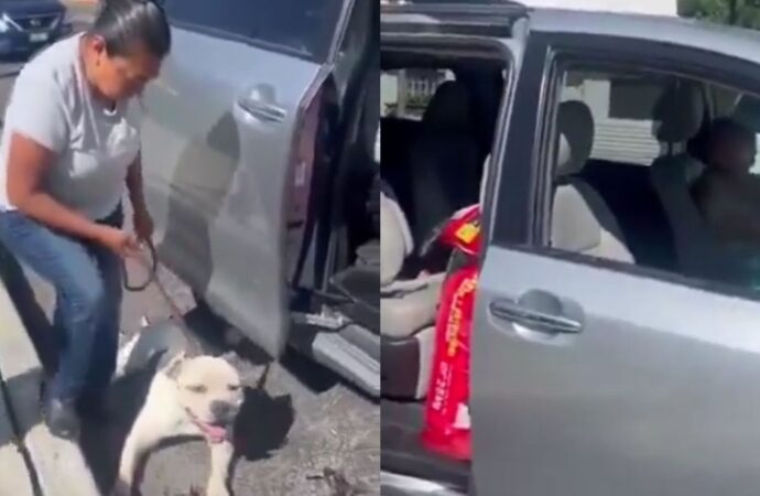 Horror: Mujer arrastra a perrito con su camioneta en Puebla