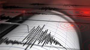 Ofrecen datos de monitoreo de sismos en Naucalpan